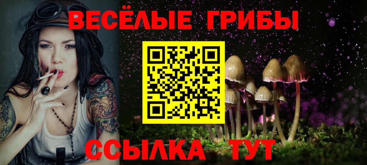 Новотроицк  Псилоцибиновые грибы Cubensis  Вход с VPN 