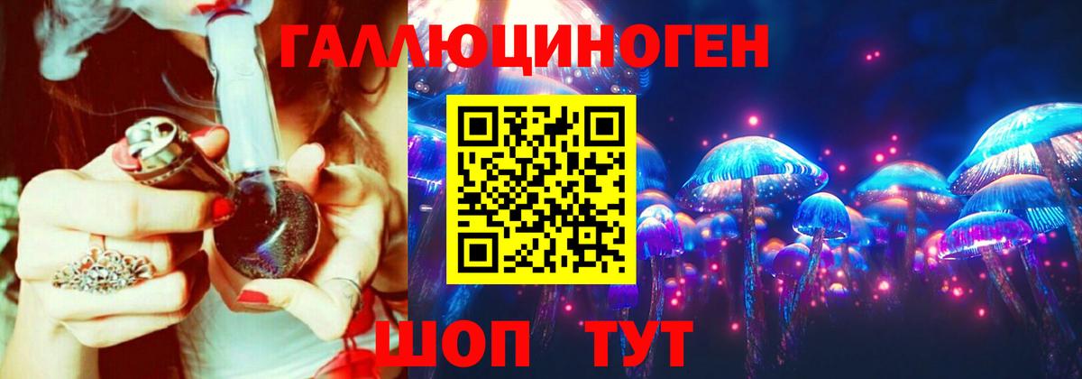Псилоцибиновые грибы Psilocybine cubensis Новотроицк